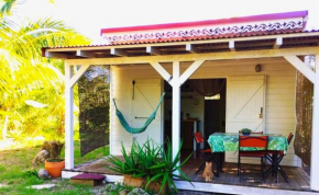 bungalow papaya